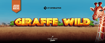 Interfaz de juego de casino pkbets
